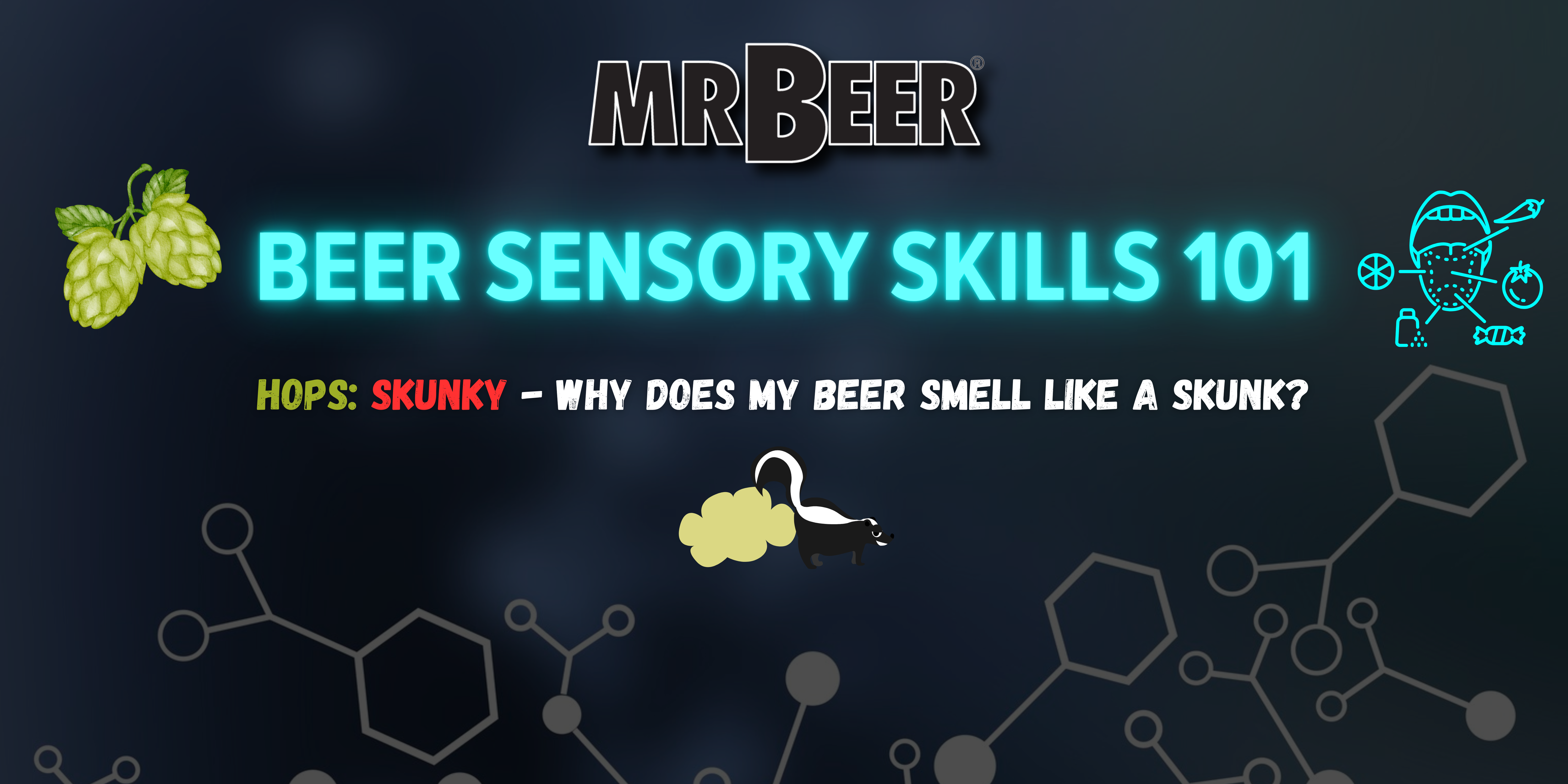Beer Sensory Skills 101 | Hops | Lightstrike