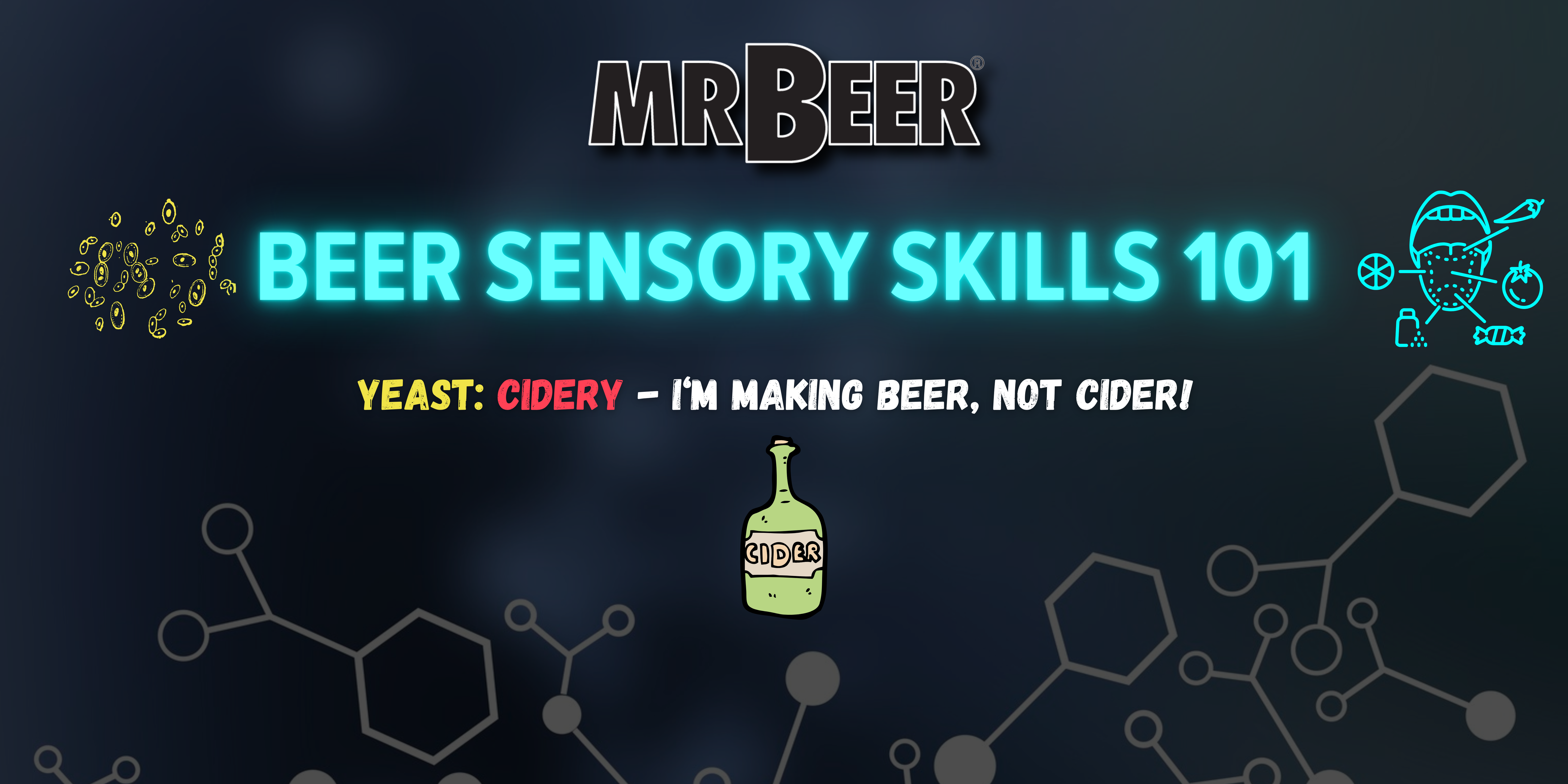 Beer Sensory Skills 101 | Yeast | Cidery