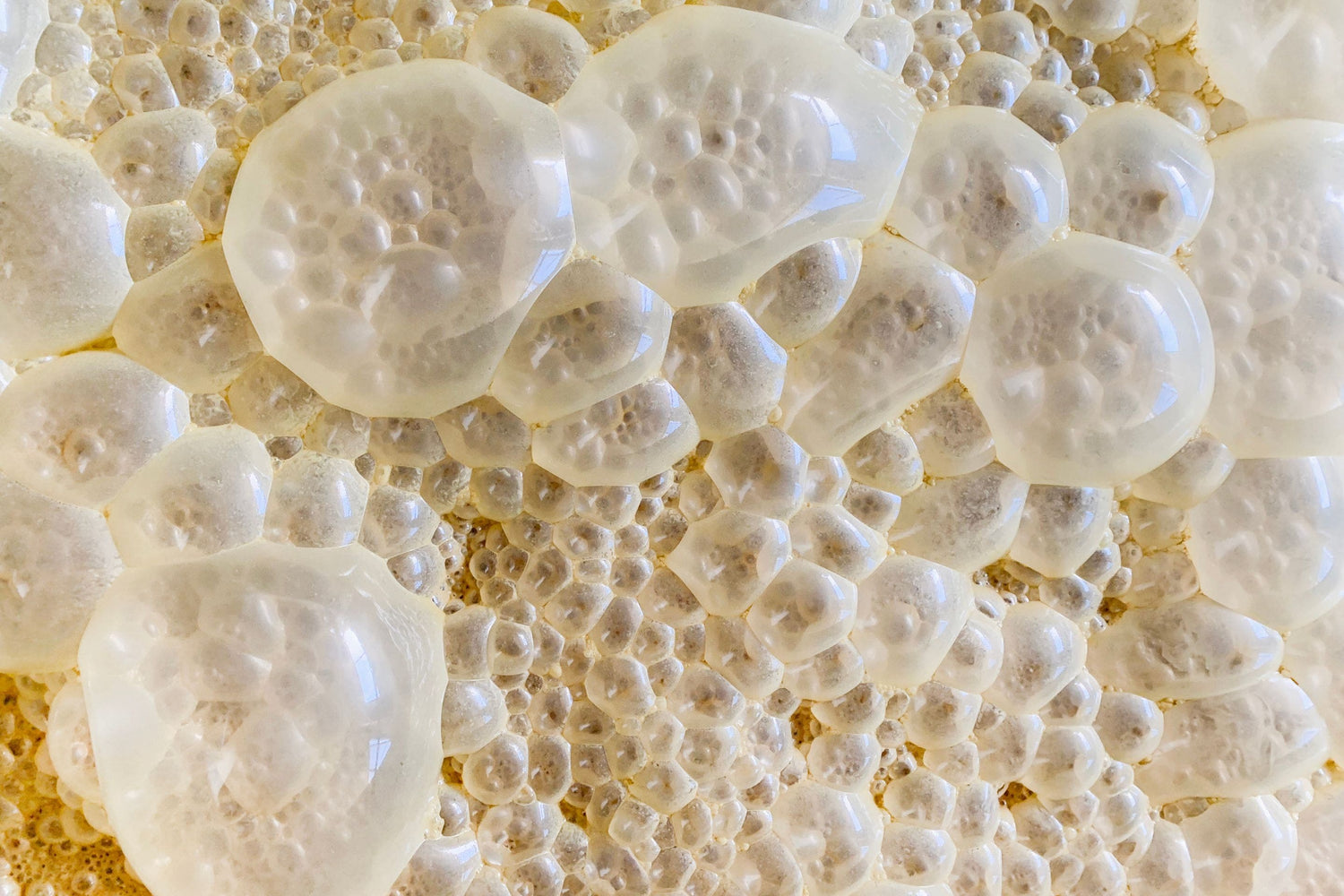 How to Tell When Your Beer Is Done Fermenting