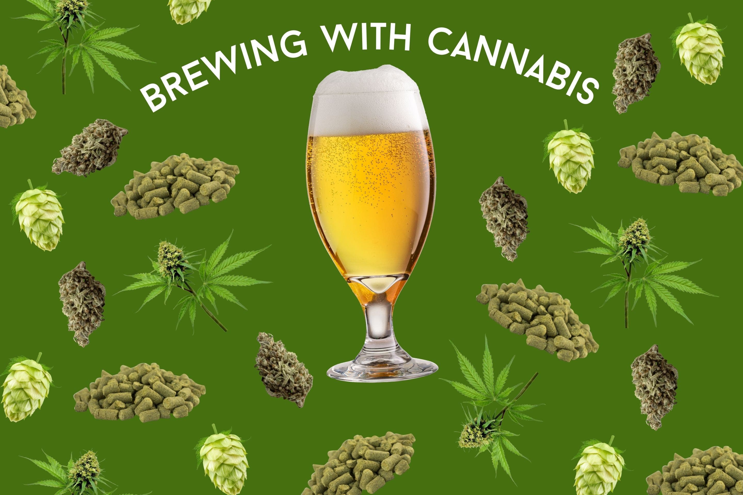 A Little Extra in Your Extract: A Homebrewer’s Guide to Cannabis-Infused Beer