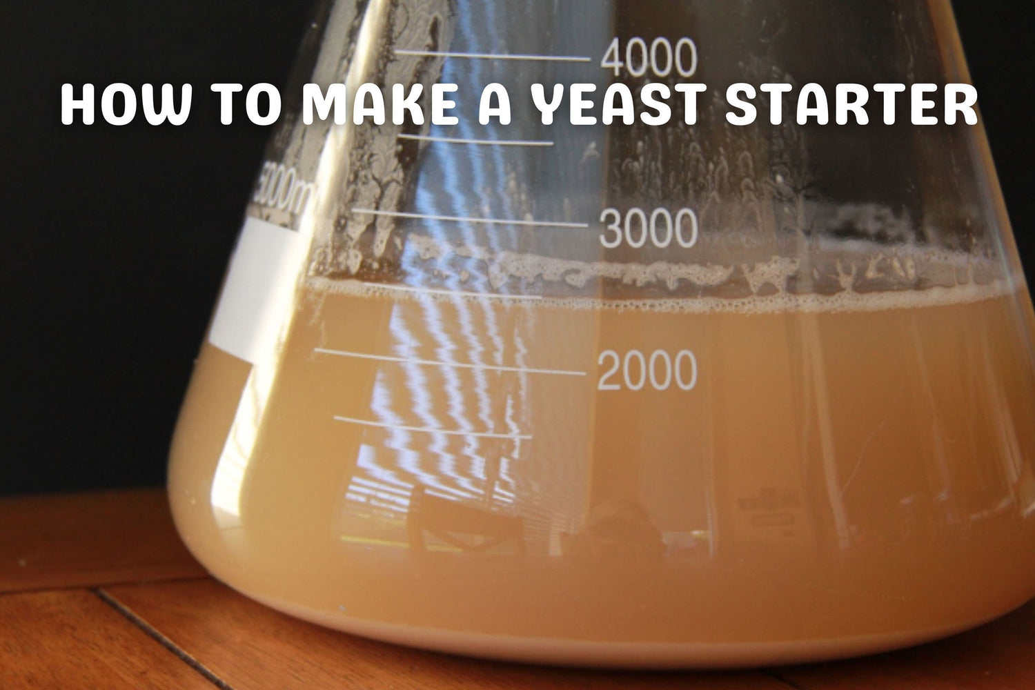 How to Make a Yeast Starter