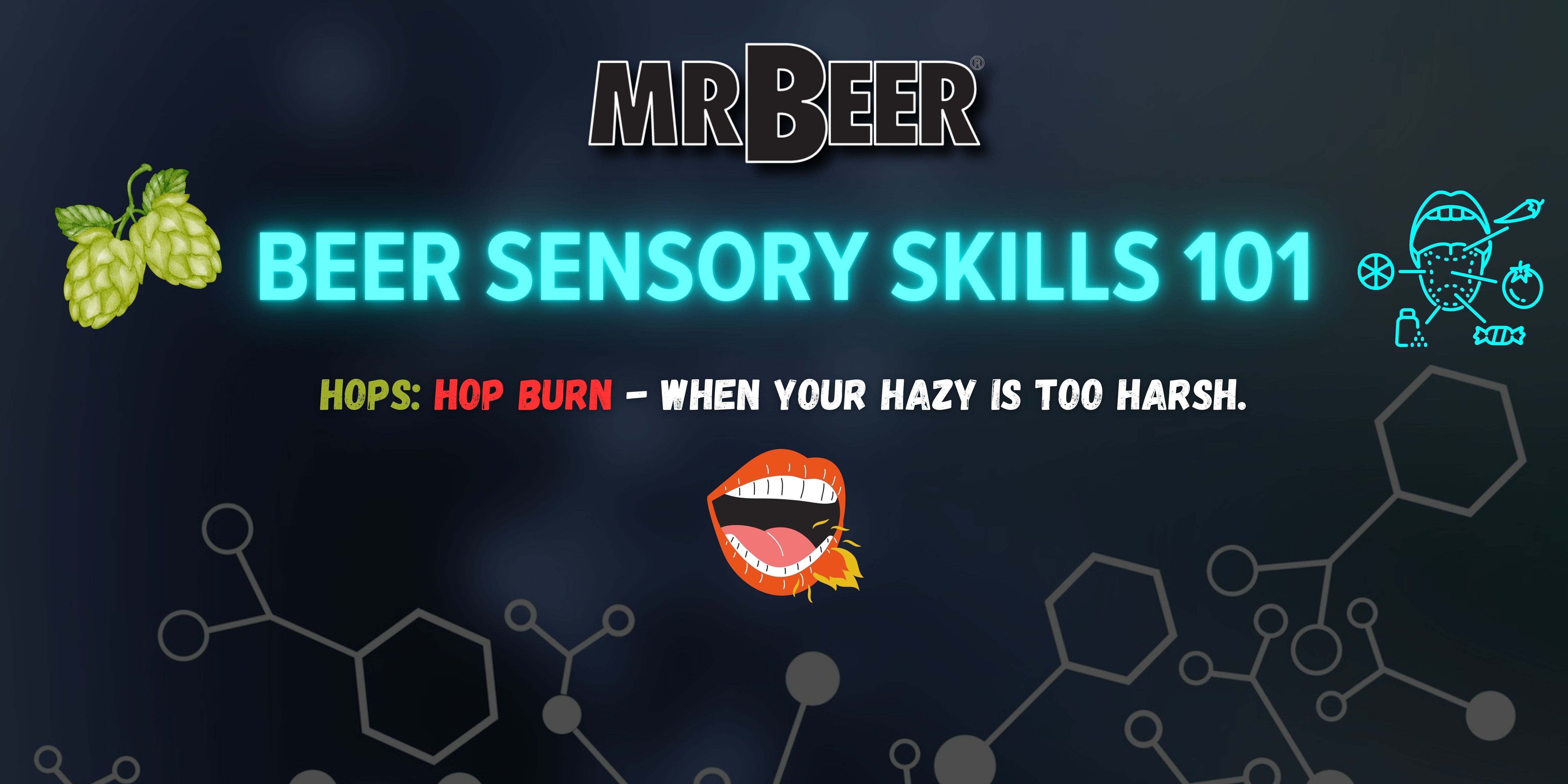 Beer Sensory Skills 101 | Hops | Hop Burn