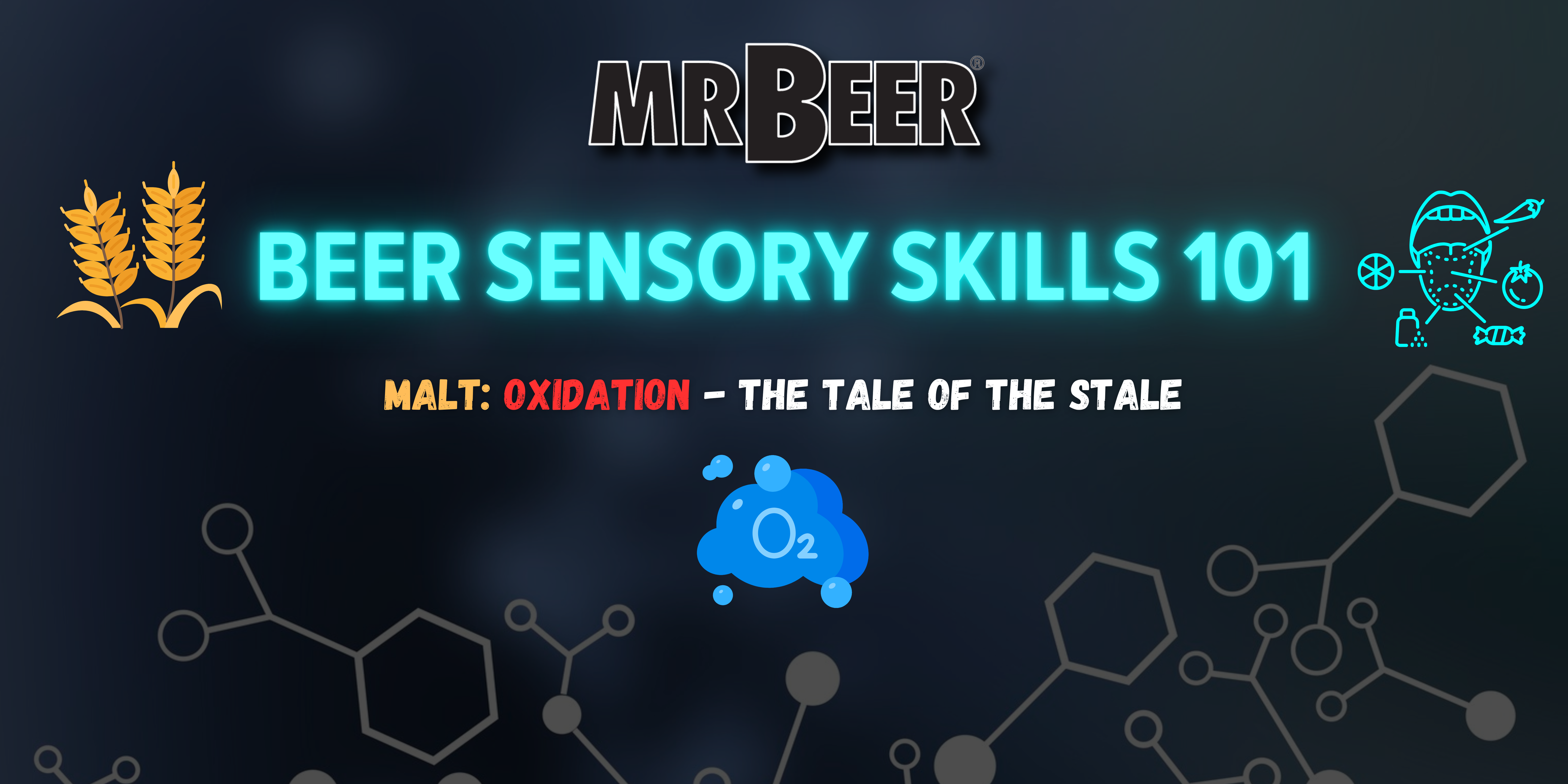 Beer Sensory Skills 101 | Malt | Oxidation