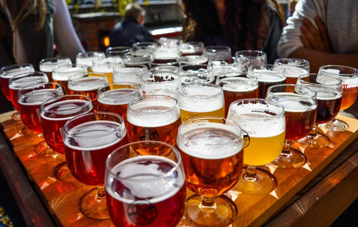 Assorted beer styles on a table for fall beer brewing season