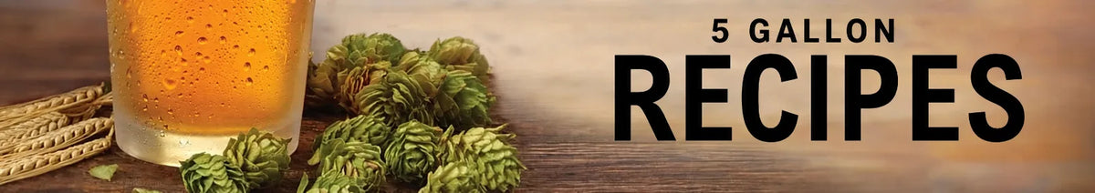 Shopify collection banner for 5 gallon beer recipes featuring a glass of beer, hop cones, barley, and the text 5 Gallon Recipes