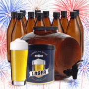 Mr. Beer American Style Lager brewing kit with bottles and a glass of beer against a fireworks background.