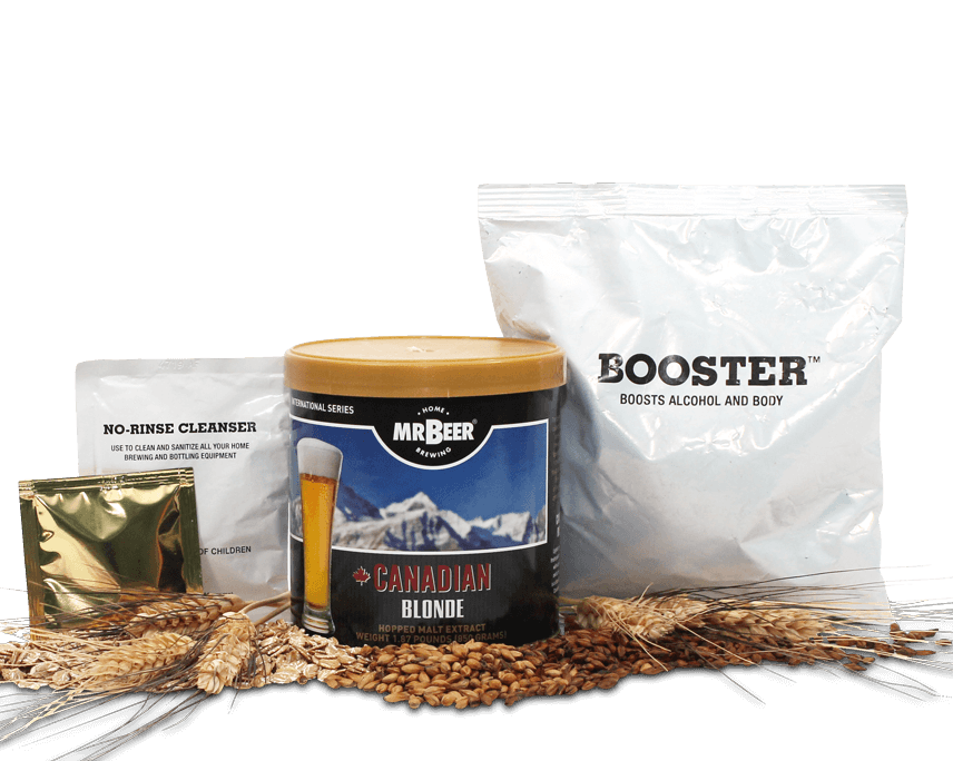 Brewing supplies including a canister, bags, and grains on a white background