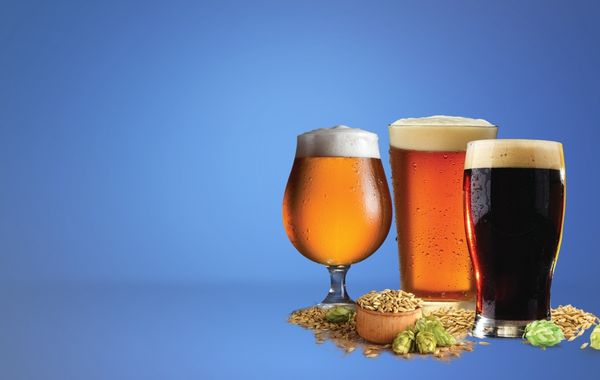 Mr Beer