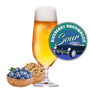 Blueberry Bandwagon Fruited Sour 5 Gallon