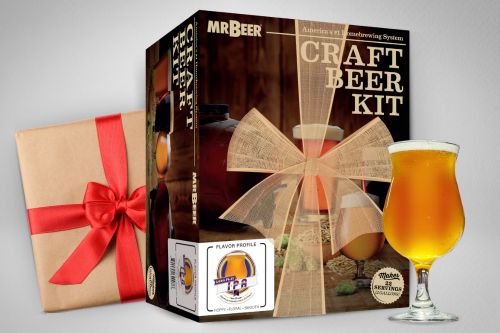 MR BEER craft beer kit with a glass of beer and gift wrap on a gray background