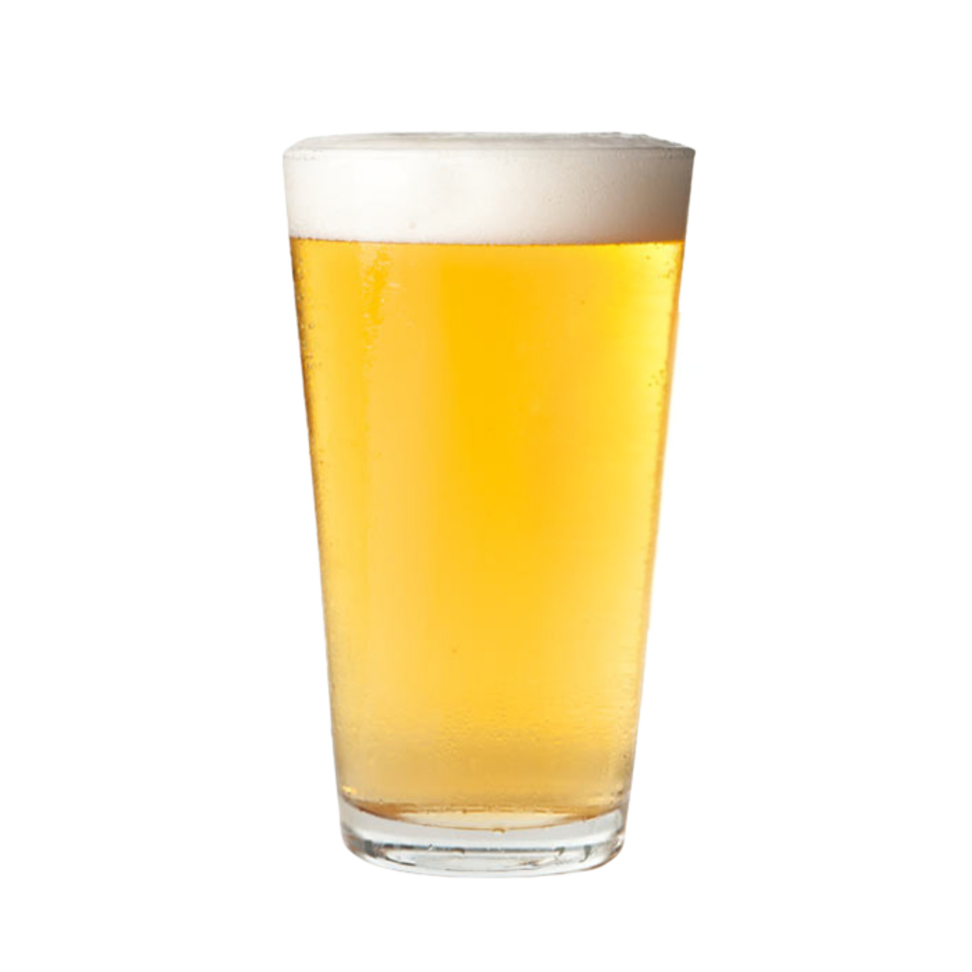 Horse's Ass American Pale Ale 5 Gallon