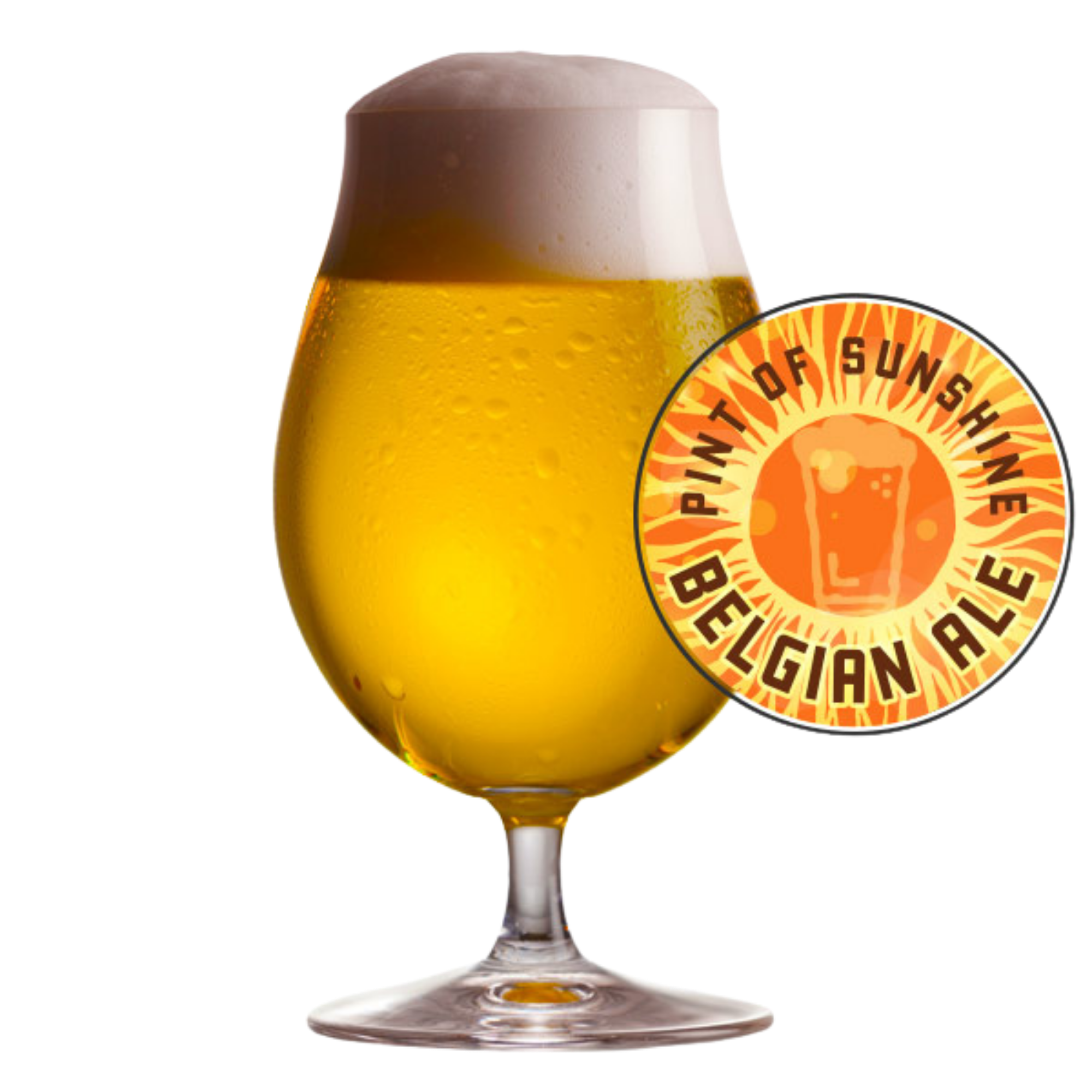 Pint of Sunshine Belgian Ale 5 Gallon
