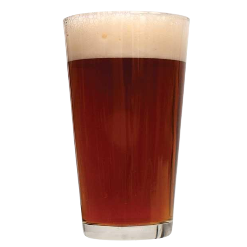 Wicked Revival Ale