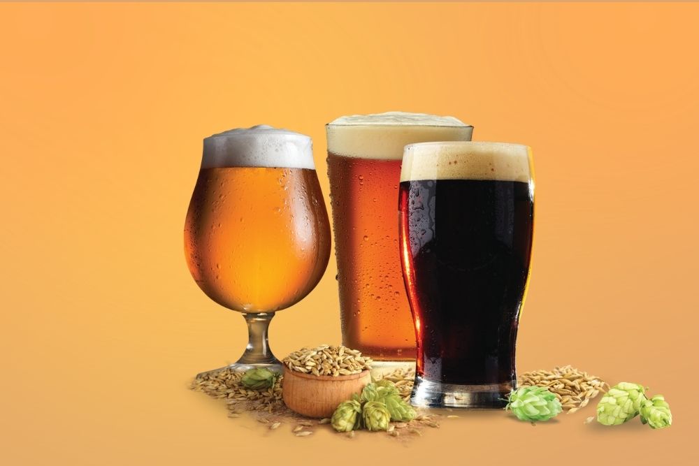 Three finished homebrewed beers in different styles with hops and grain for Mr. Beer summer brewing
