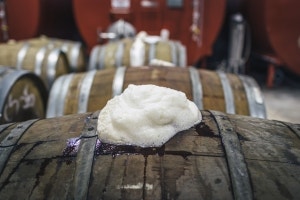 What is Stuck Fermentation and How to Fix it?