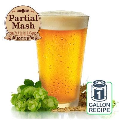 American Lager 1 Gallon Recipe