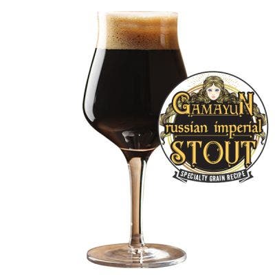 Gamayun Russian Imperial Stout Partial Mash Version 5 Gallon