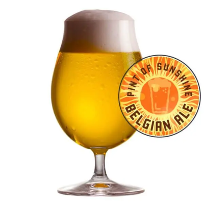 Pint of Sunshine Belgian Ale 5 Gallon