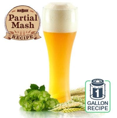 Shock the Moon Witbier 1 Gallon Recipe 