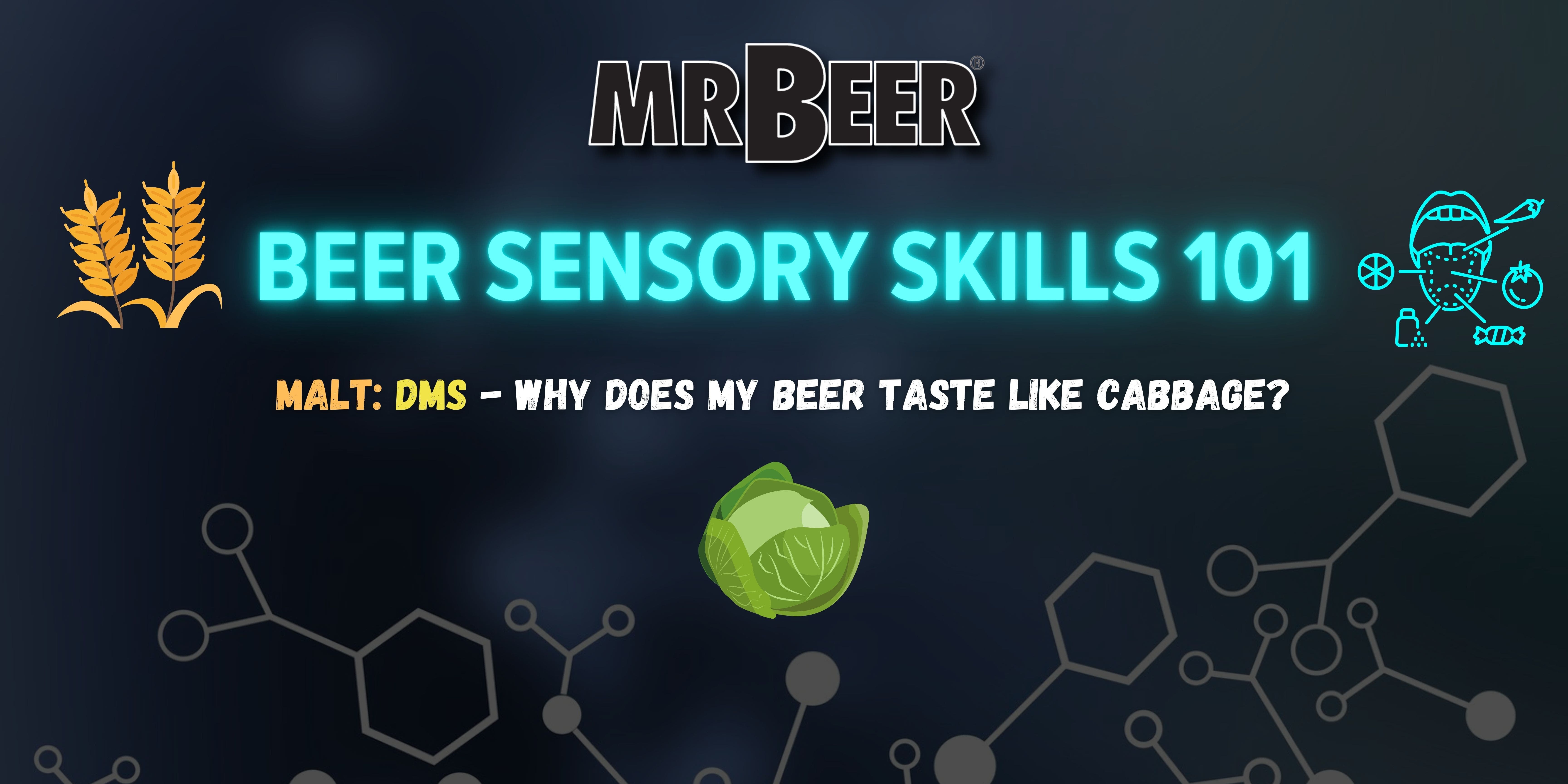 Beer Sensory Skills 101 | Malt | DMS