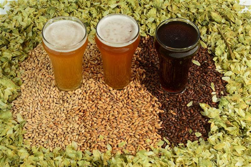From Idea to Glass: How to Design Your Own Homebrew Recipe