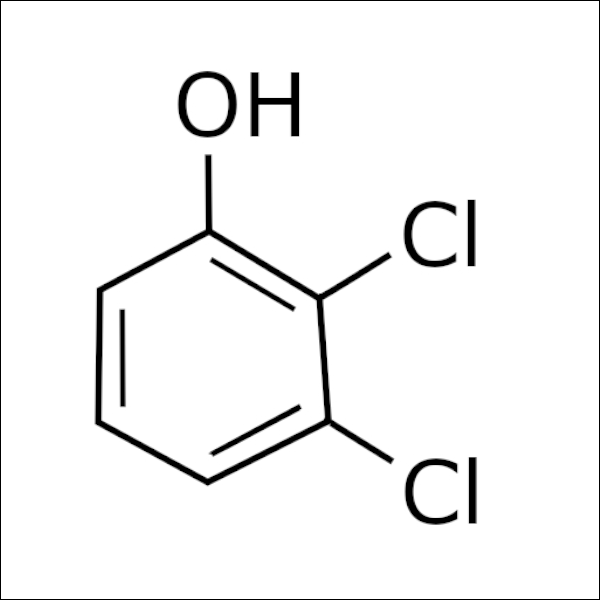 Yeast autolysis stages